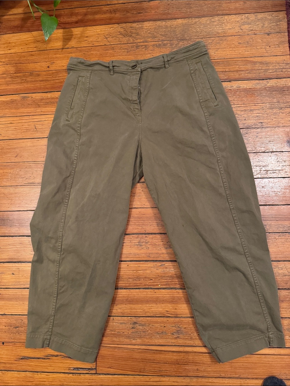 Women's Olive Cropped Chino Pants